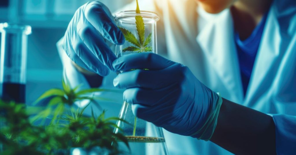 Why It’s Important To Test for Residual Solvents in Cannabis