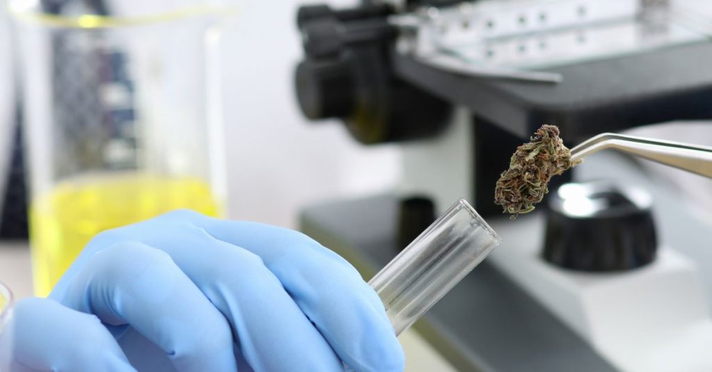 Why It’s Important To Test for Residual Solvents in Cannabis