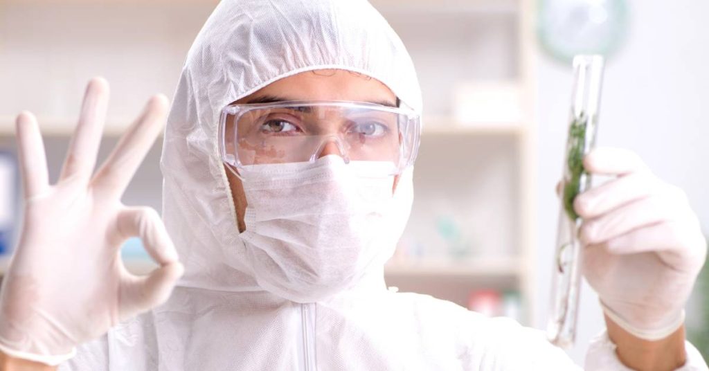 A laboratory technician holding up a test tube containing a cannabis sample and giving the “ok” sign with their hand.