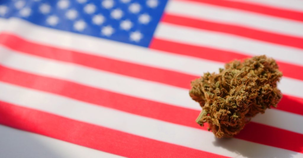 A small, green cannabis bud lying on a large American flag. The American flag is blurred on a table.