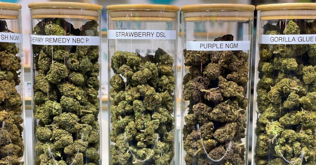 Five large glass jars of various cannabis strains. The middle jars say "Strawberry DSL" and "Purple NGM."