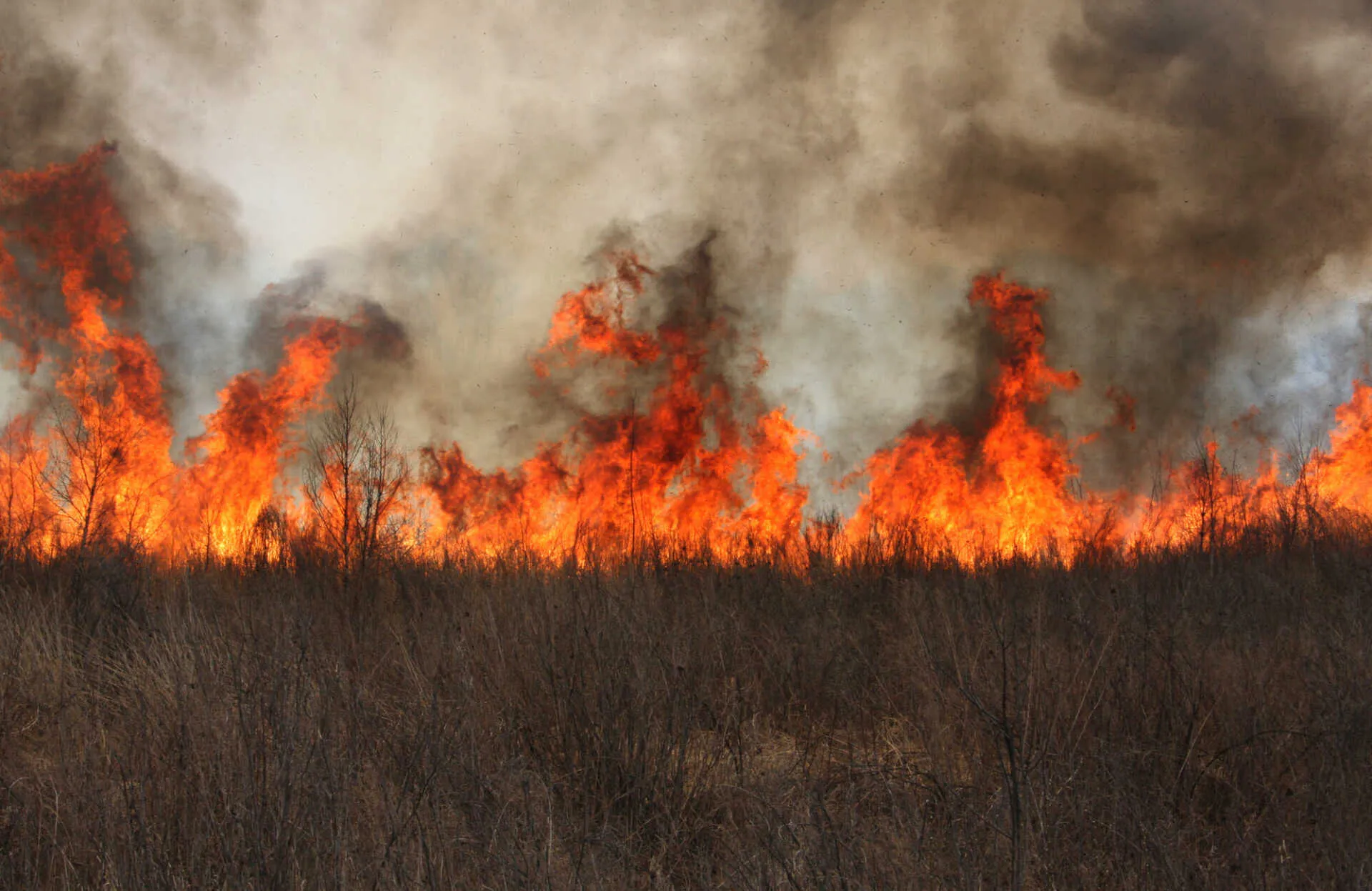 Wildfires