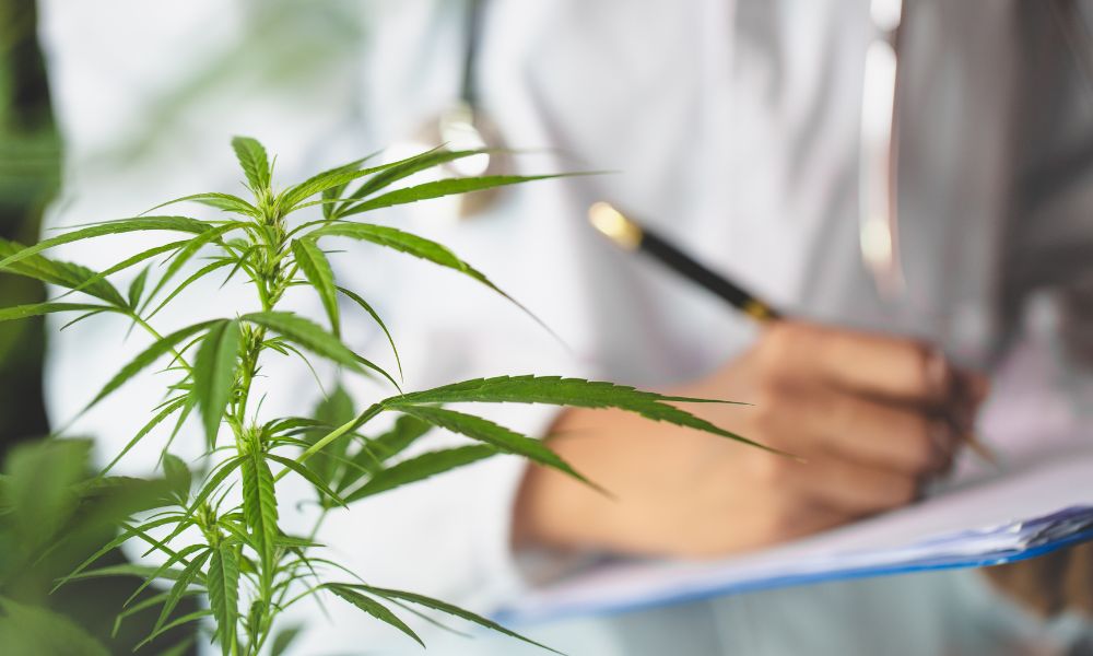 How Cannabis Testing Helps Ensure Consumer Safety