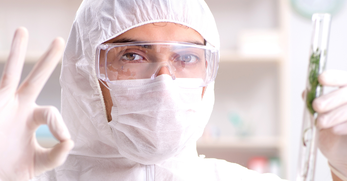 A scientist is holding a tube with cannabis buds. He’s making an “ok” sign with his hand, indicating the cannabis is safe.