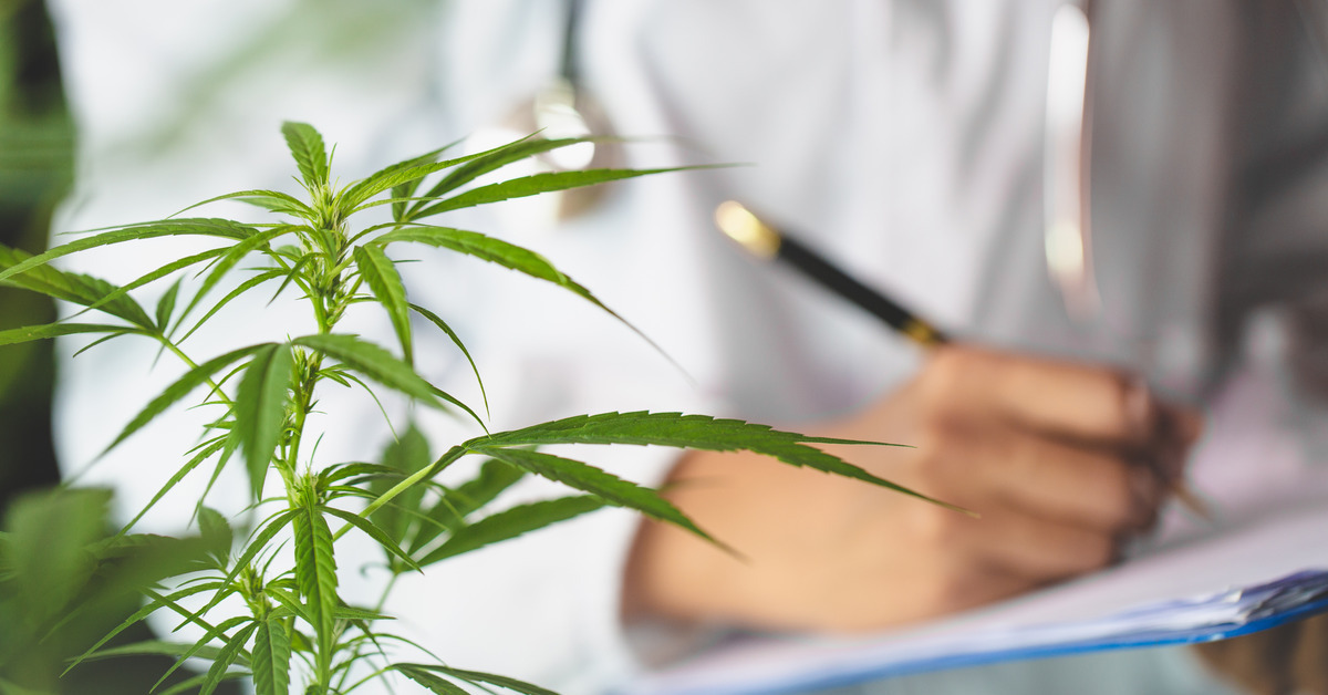 Indica vs. Sativa: What Does the Cannabis Science Tell Us