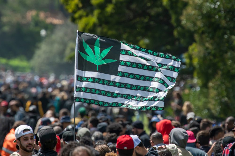 Celebrating the cannabis holiday 420