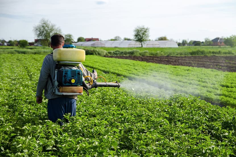 Pesticide Breakdown: Dichlorvos (DDVP)